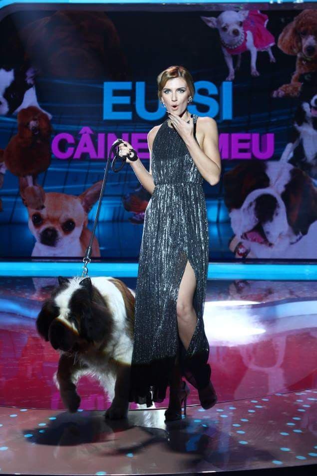 BRAVO, AI STIL! - GALA